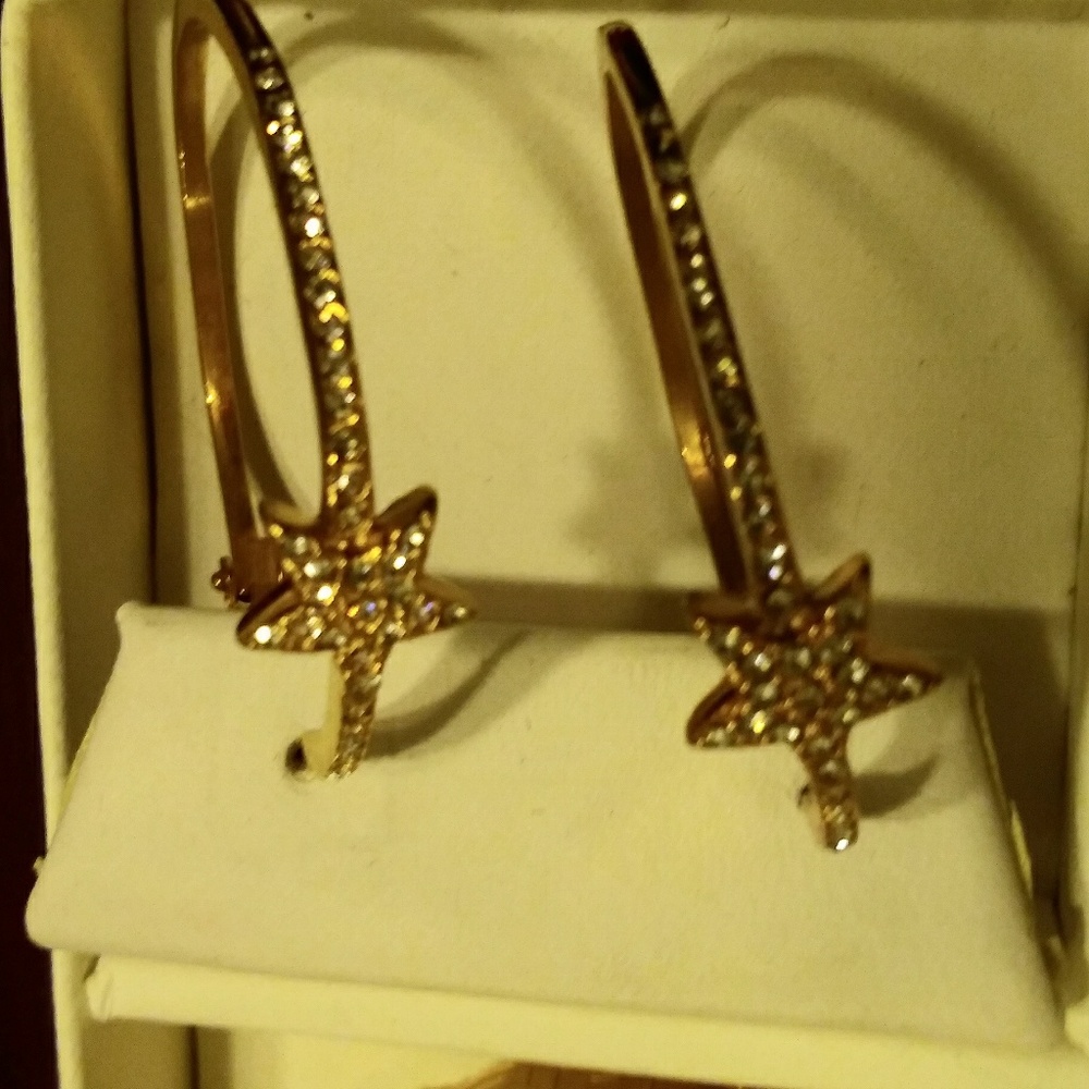 EARRINGS - Picture 6 of 6